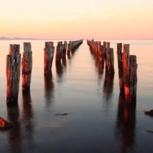 Old wooden posts stretching into calm water at sunset, creating a peaceful, dreamlike atmosphere.